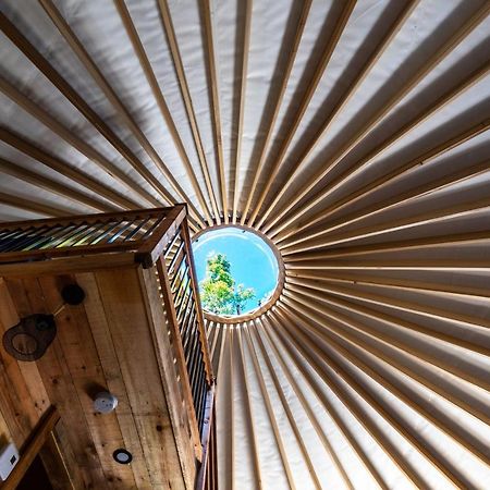 Yourtes Glamping Du Poisson Blanc Notre-Dame-du-Laus Zewnętrze zdjęcie